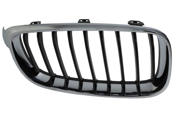 Blic Radiateurgrille 6502-07-0081992GP