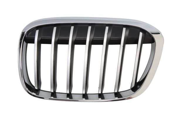 Blic Ventilatiegrille, bumper 6502-07-0082991P