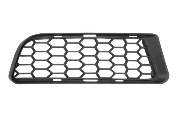Blic Ventilatiegrille, bumper 6502-07-0086920P
