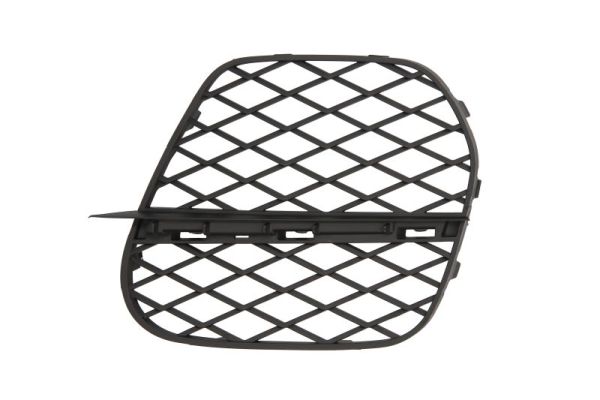 Blic Ventilatiegrille, bumper 6502-07-0096926P