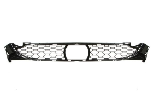 Blic Radiateurgrille 6502-07-0097918MP