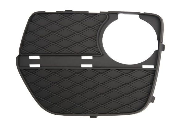 Blic Ventilatiegrille, bumper 6502-07-0099913P