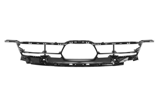 Blic Ventilatiegrille, bumper 6502-07-0101910P