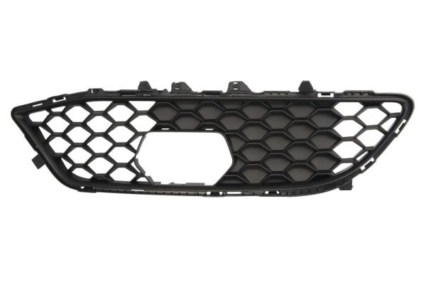 Blic Ventilatiegrille, bumper 6502-07-0106916RP