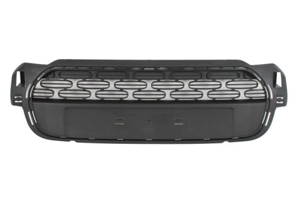 Blic Grille 6502-07-0533990P