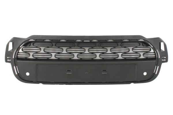 Blic Radiateurgrille 6502-07-0544991P