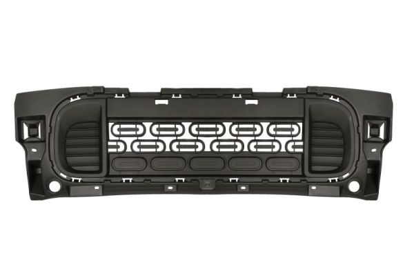 Blic Ventilatiegrille, bumper 6502-07-0555910P