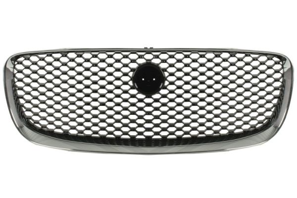 Blic Radiateurgrille 6502-07-0599990P