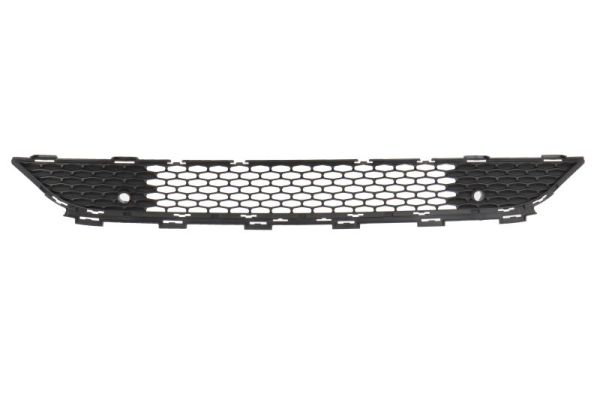 Blic Ventilatiegrille, bumper 6502-07-0939912PP