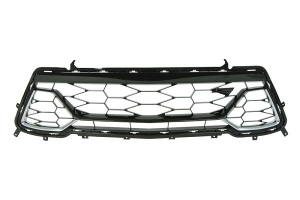 Blic Ventilatiegrille, bumper 6502-07-1196910P
