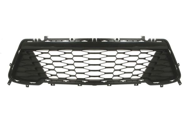 Blic Ventilatiegrille, bumper 6502-07-1196915P