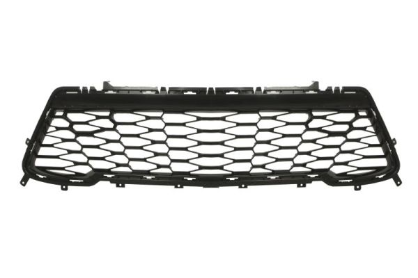 Blic Ventilatiegrille, bumper 6502-07-1196916P