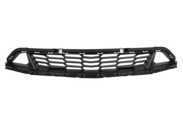 Blic Ventilatiegrille, bumper 6502-07-1196920P
