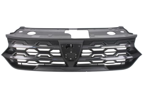 Blic Radiateurgrille 6502-07-1308992P