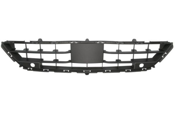 Blic Ventilatiegrille, bumper 6502-07-1684930P
