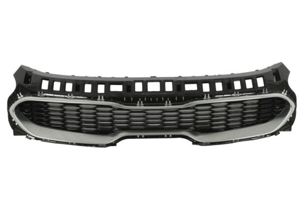 Blic Radiateurgrille 6502-07-2173990P