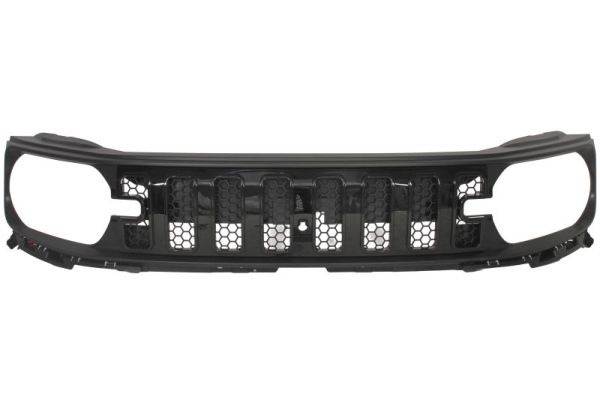 Blic Radiateurgrille 6502-07-2504990KP