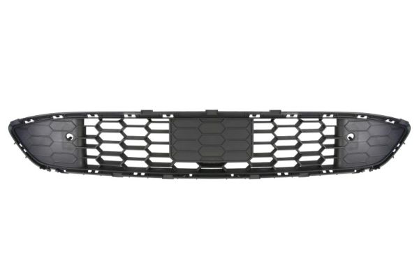 Blic Ventilatiegrille, bumper 6502-07-2579980P