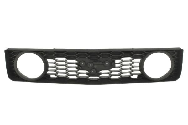Blic Radiateurgrille 6502-07-2585993P