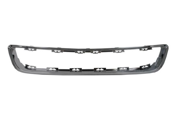 Blic Sier- / Beschermingspaneel, radiateurgrille 6502-07-2585995P