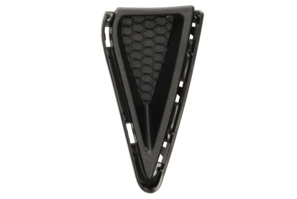 Blic Ventilatiegrille, bumper 6502-07-2589911P