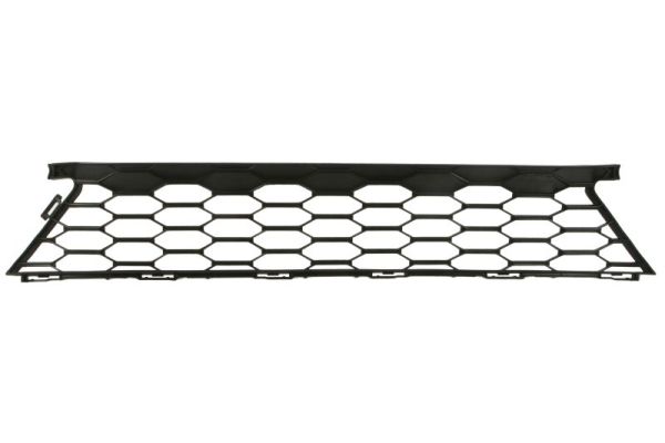 Blic Radiateurgrille 6502-07-2914910P