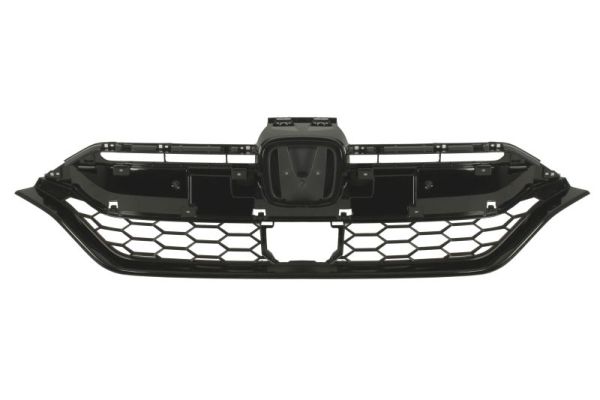 Blic Radiateurgrille 6502-07-2951994P