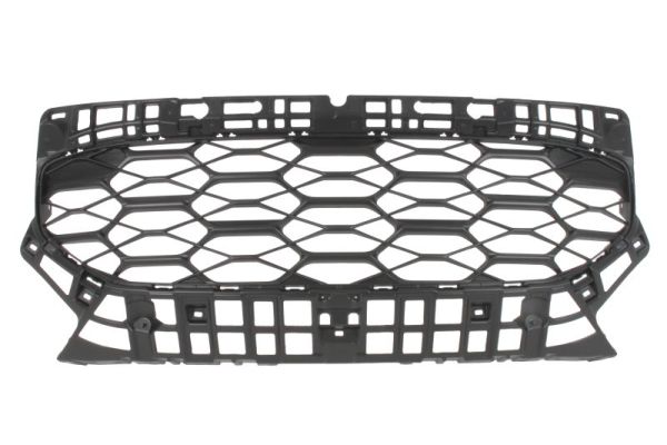 Blic Radiateurgrille 6502-07-2953990P