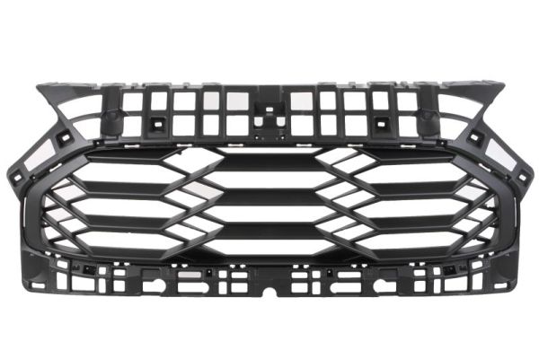 Blic Radiateurgrille 6502-07-2953991P