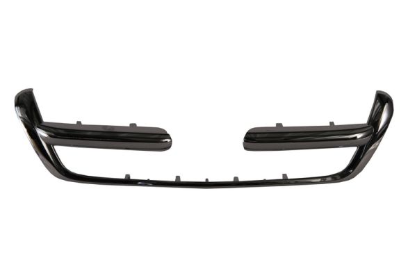 Blic Sier- / Beschermingspaneel, radiateurgrille 6502-07-2956991P