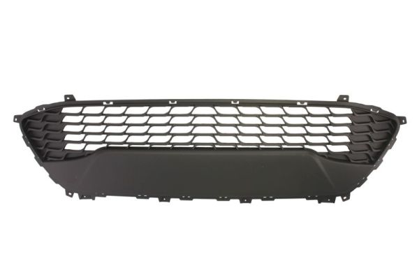 Blic Grille 6502-07-3135996Q