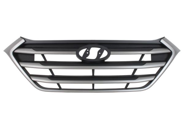 Blic Radiateurgrille 6502-07-3177995P