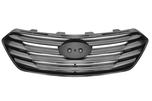 Blic Radiateurgrille 6502-07-3182993P