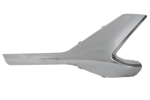 Blic Sier- / beschermingspaneel, bumper 6502-07-3184922CP