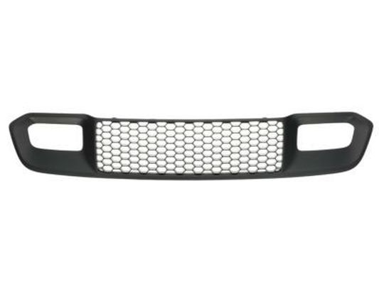 Blic Ventilatiegrille, bumper 6502-07-3207914P