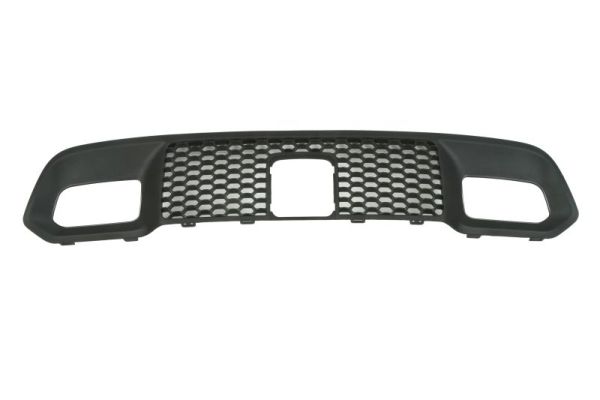 Blic Ventilatiegrille, bumper 6502-07-3207916P