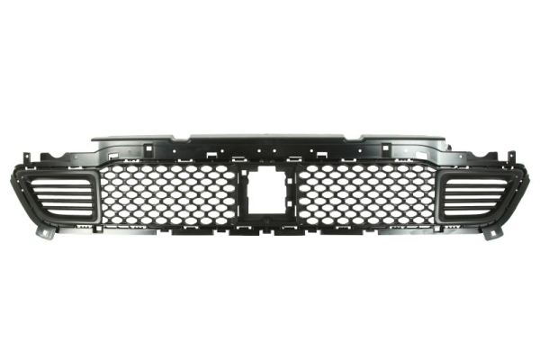 Blic Ventilatiegrille, bumper 6502-07-3208912P