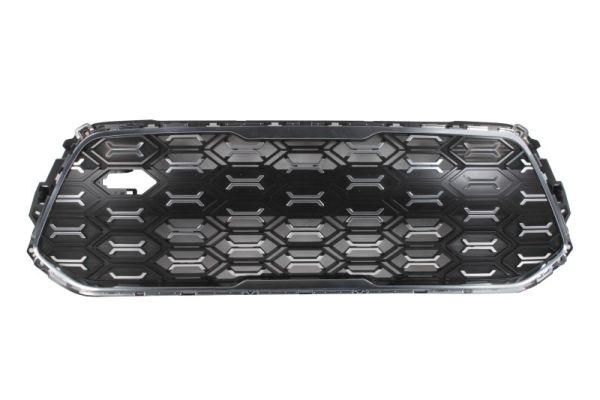 Blic Radiateurgrille 6502-07-3283997P