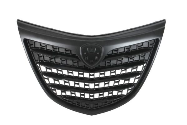 Blic Radiateurgrille 6502-07-3332991P