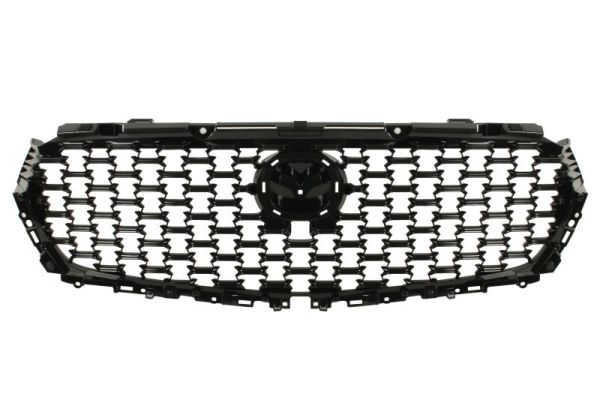 Blic Radiateurgrille 6502-07-3460990P