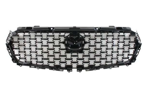 Blic Radiateurgrille 6502-07-3460991P