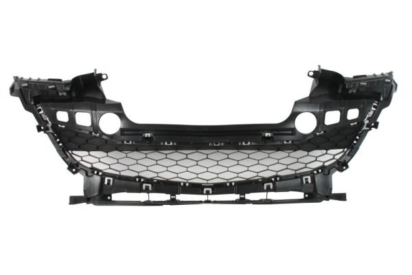 Blic Radiateurgrille 6502-07-3477991P