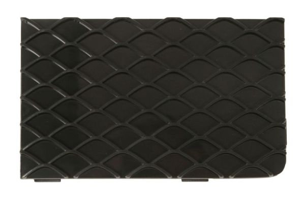 Blic Ventilatiegrille, bumper 6502-07-3501916PP