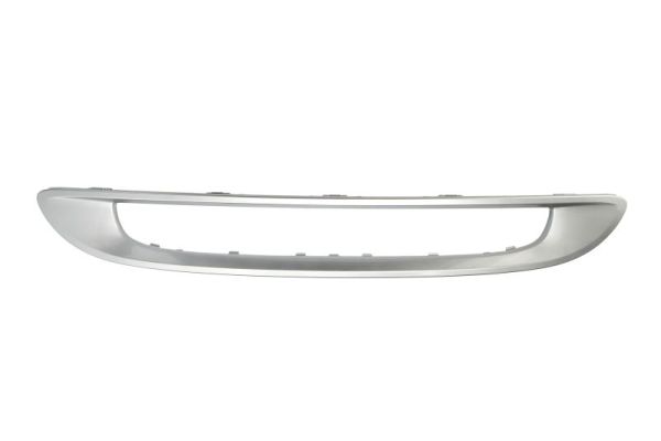 Blic Sier- / Beschermingspaneel, radiateurgrille 6502-07-3502998P