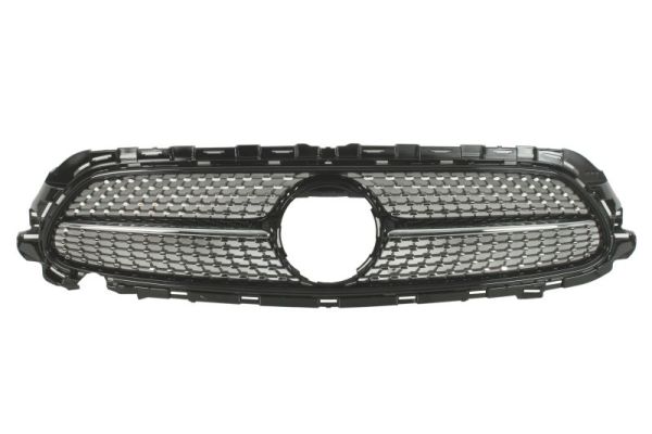 Blic Radiateurgrille 6502-07-3531999P