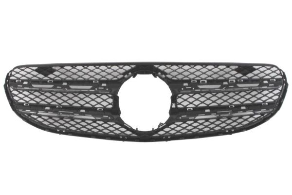Blic Radiateurgrille 6502-07-3534990P