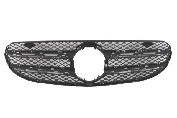 Blic Radiateurgrille 6502-07-3534991P