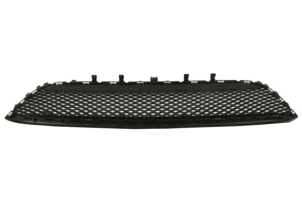 Blic Ventilatiegrille, bumper 6502-07-3552910PP