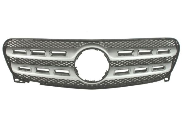 Blic Radiateurgrille 6502-07-3583916P