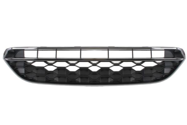 Blic Radiateurgrille 6502-07-4004991P